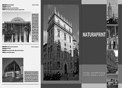 Trípticos volantes (10x21) escala de grises 3 Volante triptico grises cara a